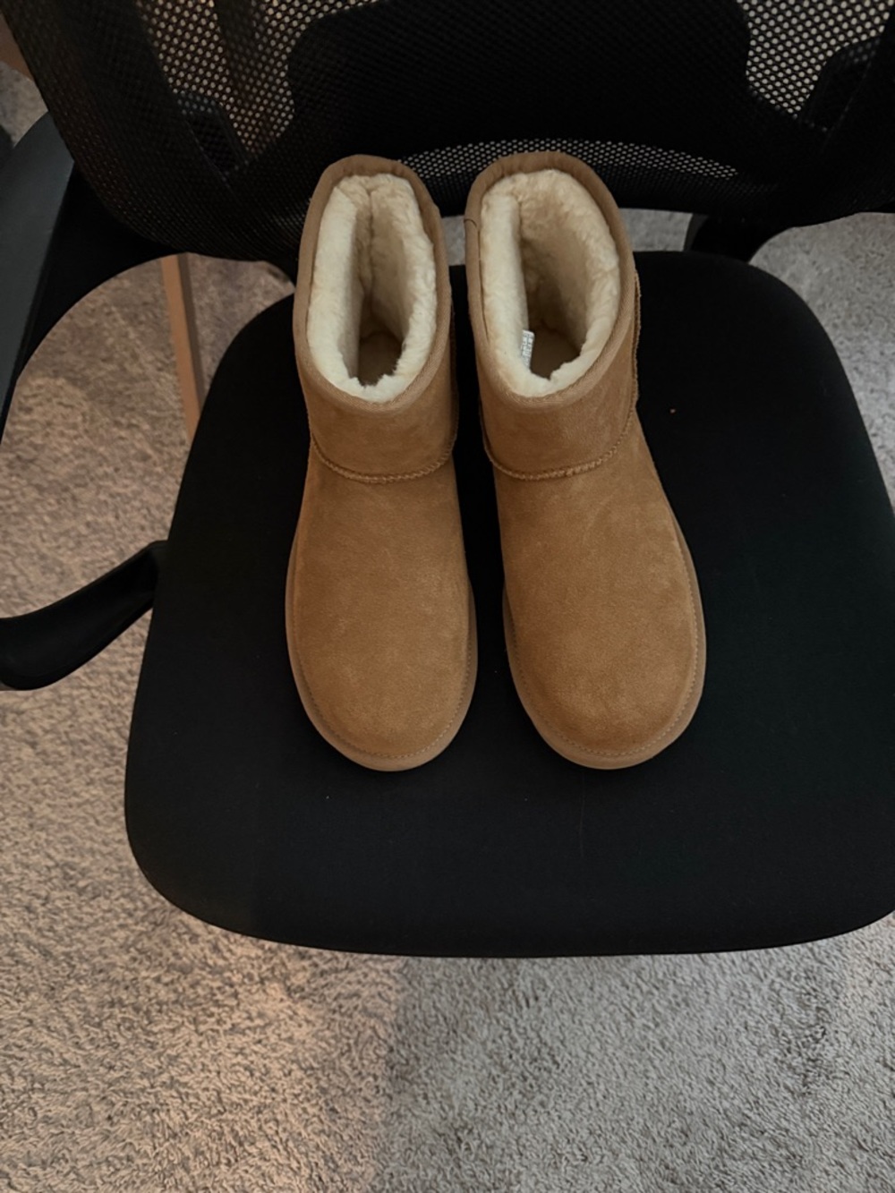 UGG Short Suede Boots in Chestnut Brown with Cream Shearling